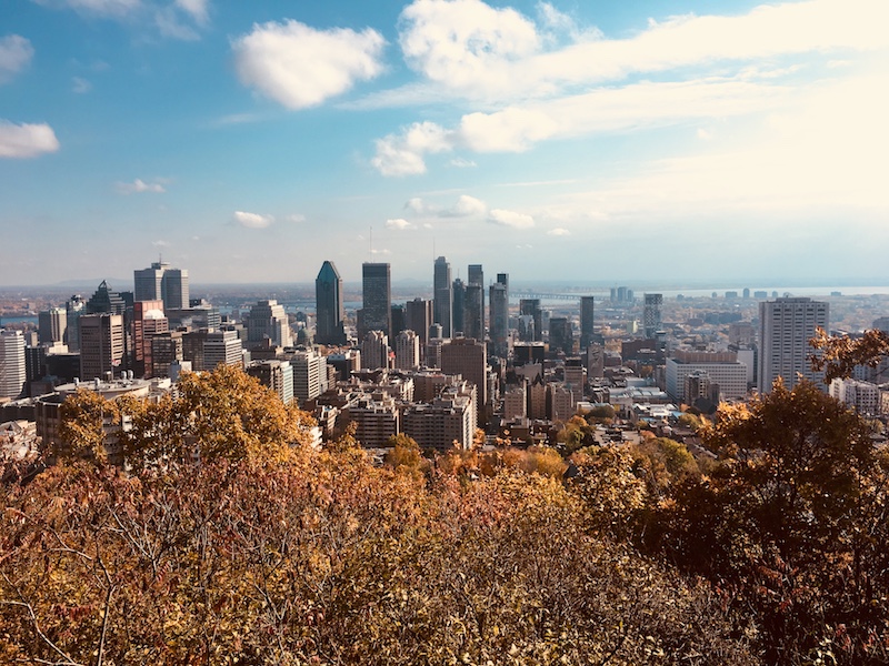 Programmation grand public sur le mont Royal