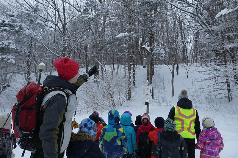 Children enjoying winter on Mount Royal with educator from Les amis de la montagne