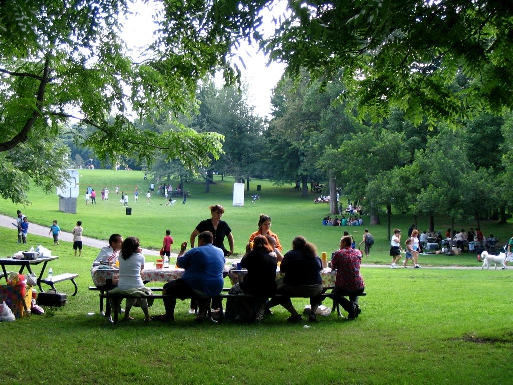 A picnic in Mount Royal Park