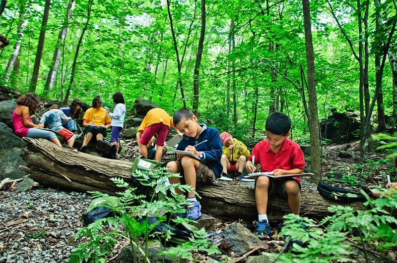 Summer Day Camp with Les amis de la montagne