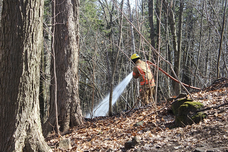 Firefighter extinguishing a forest fire on Mount Royal