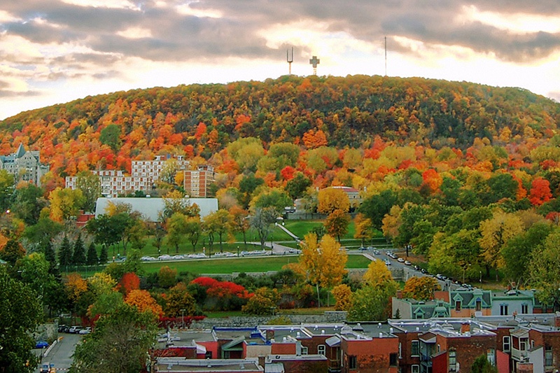 View of Mount Royal and its landscape heritage