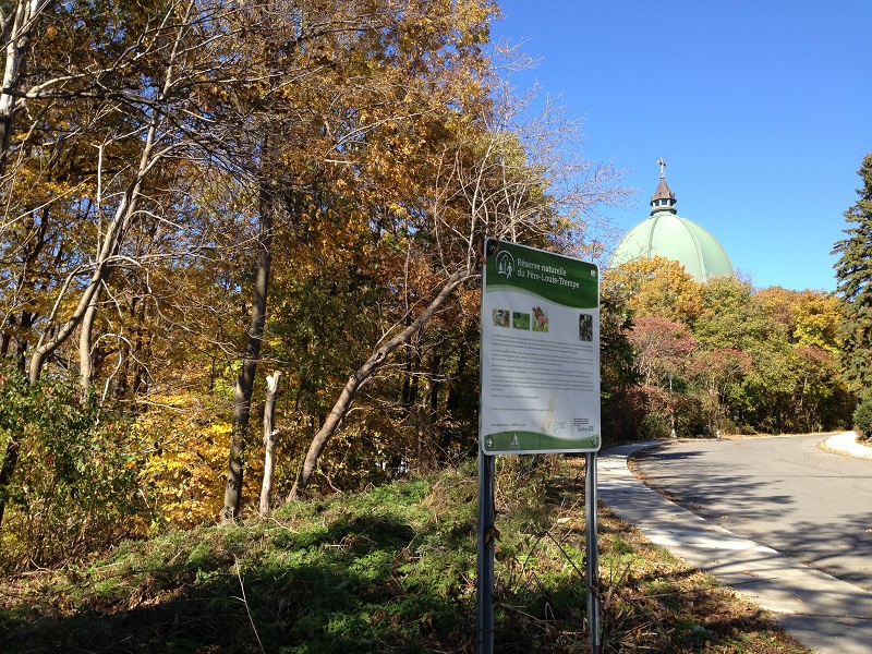 Development of the Père-Louis-Trempe Nature Reserve