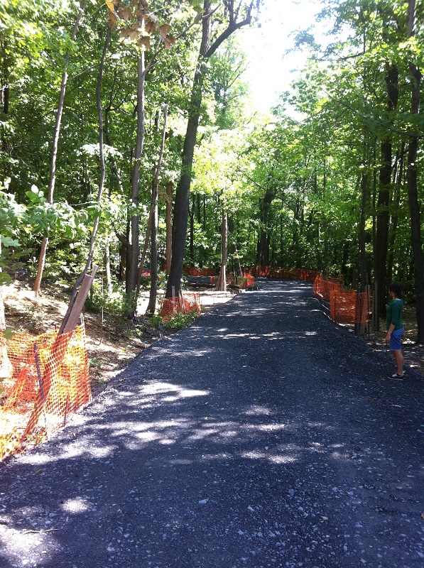 Chemin temporaire liant la rue Redpath à l’avenue Cedar 